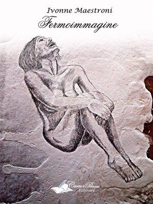cover image of Fermoimmagine